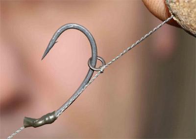 rig& baits - 231681amb1.jpg